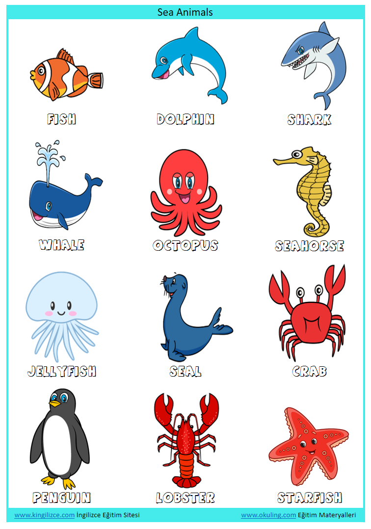 Как будет по английскому морская. Морские обитатели для детей. Морские жители на английском языке. Морские животные для детей. Морские животные названия.